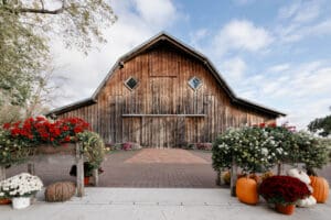 Dominyc autumn wedding sneak 15